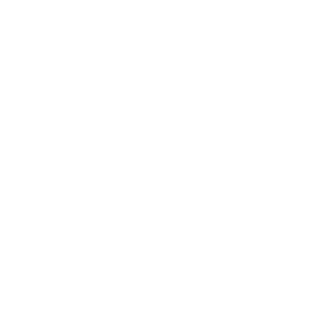 Favicon Guillermo Aure - Logo blanco marca personal
